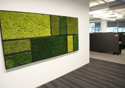 moss accent wall